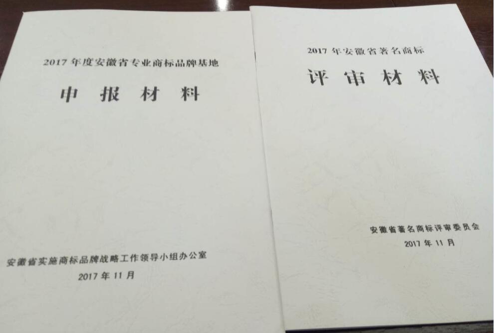 安徽省著名商标，专业商标品牌基地专家评审会召开